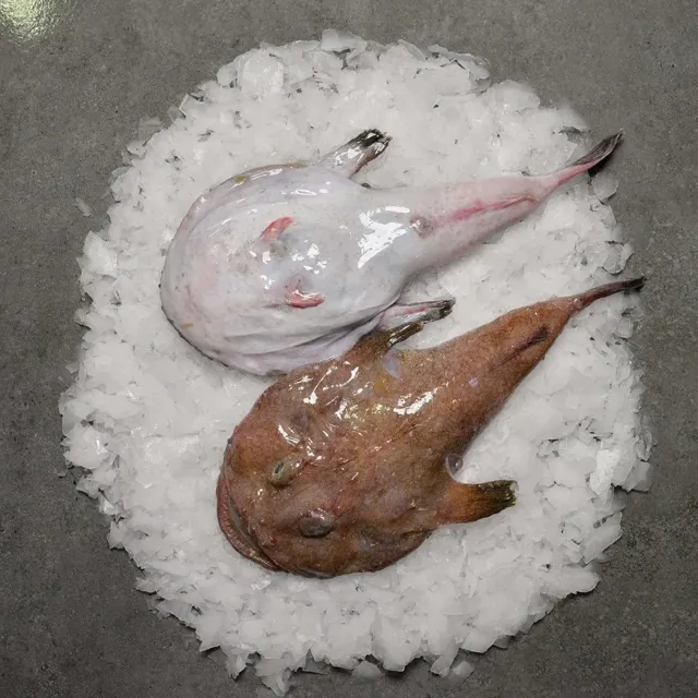 Fener Balığı 1 Kg
