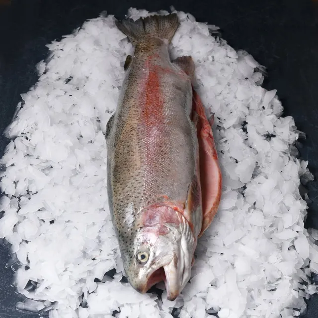 Türk Somonu 3,5-4 Kg Orijinal!