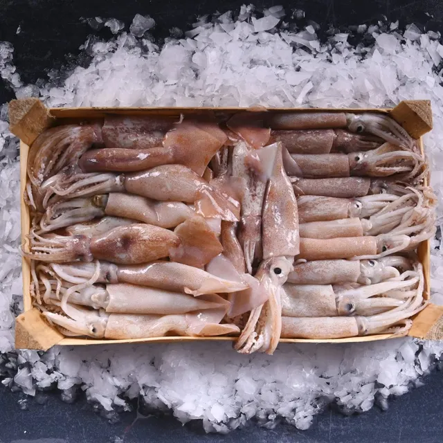 BÜLBÜL KALAMAR KASA 3 Kg